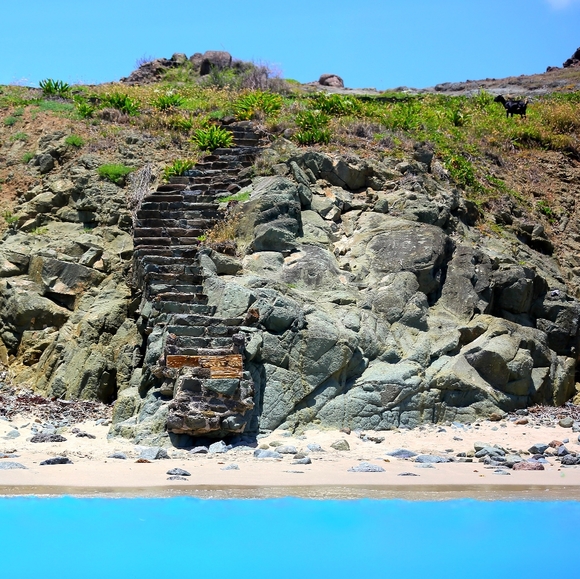 Meet your Posh Ambassador, Jaqueline - Picture 6 of 7